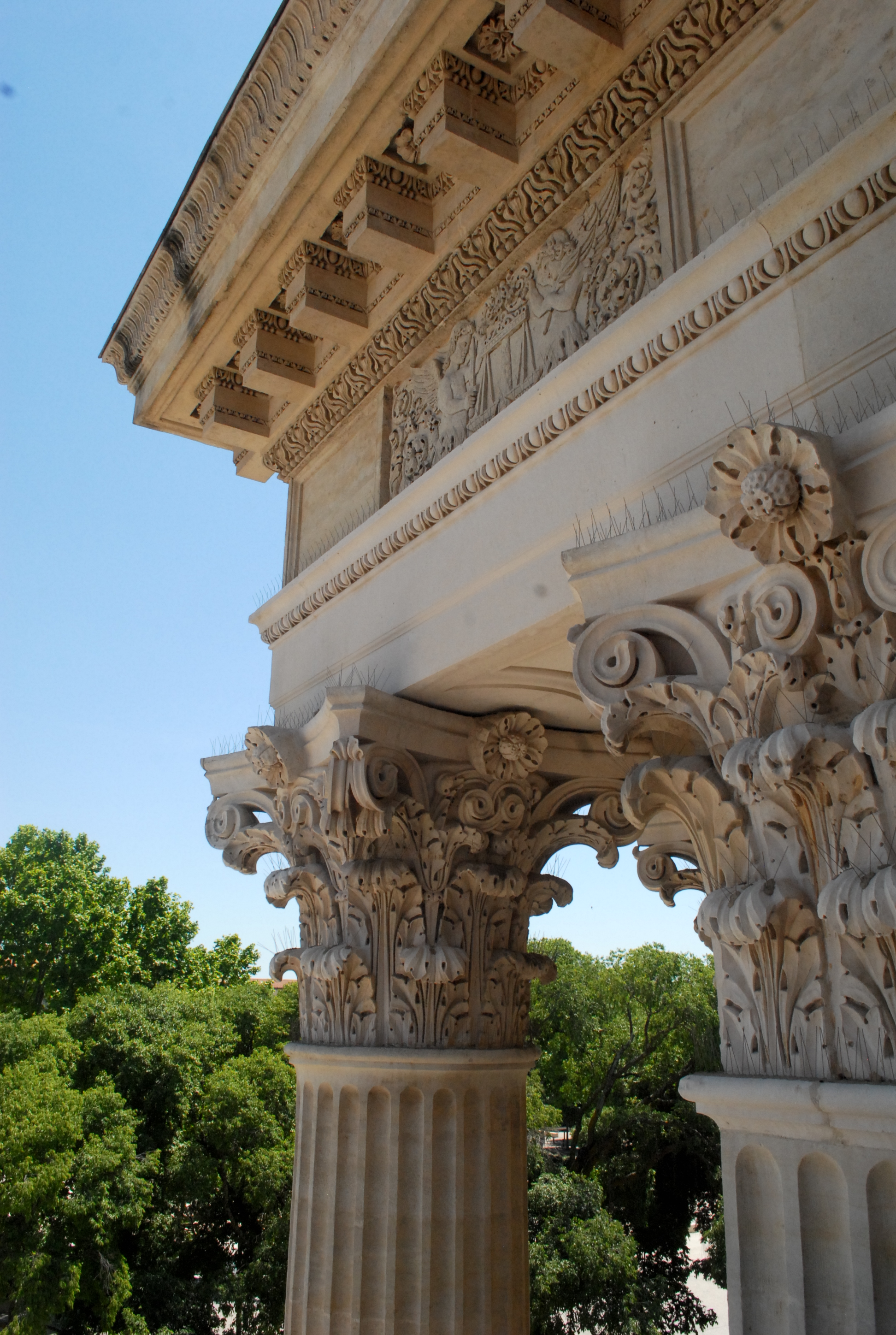 Feuilles d'acanthe et colonne