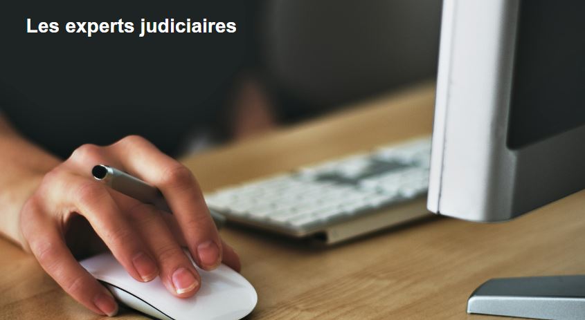 Experts judiciaires