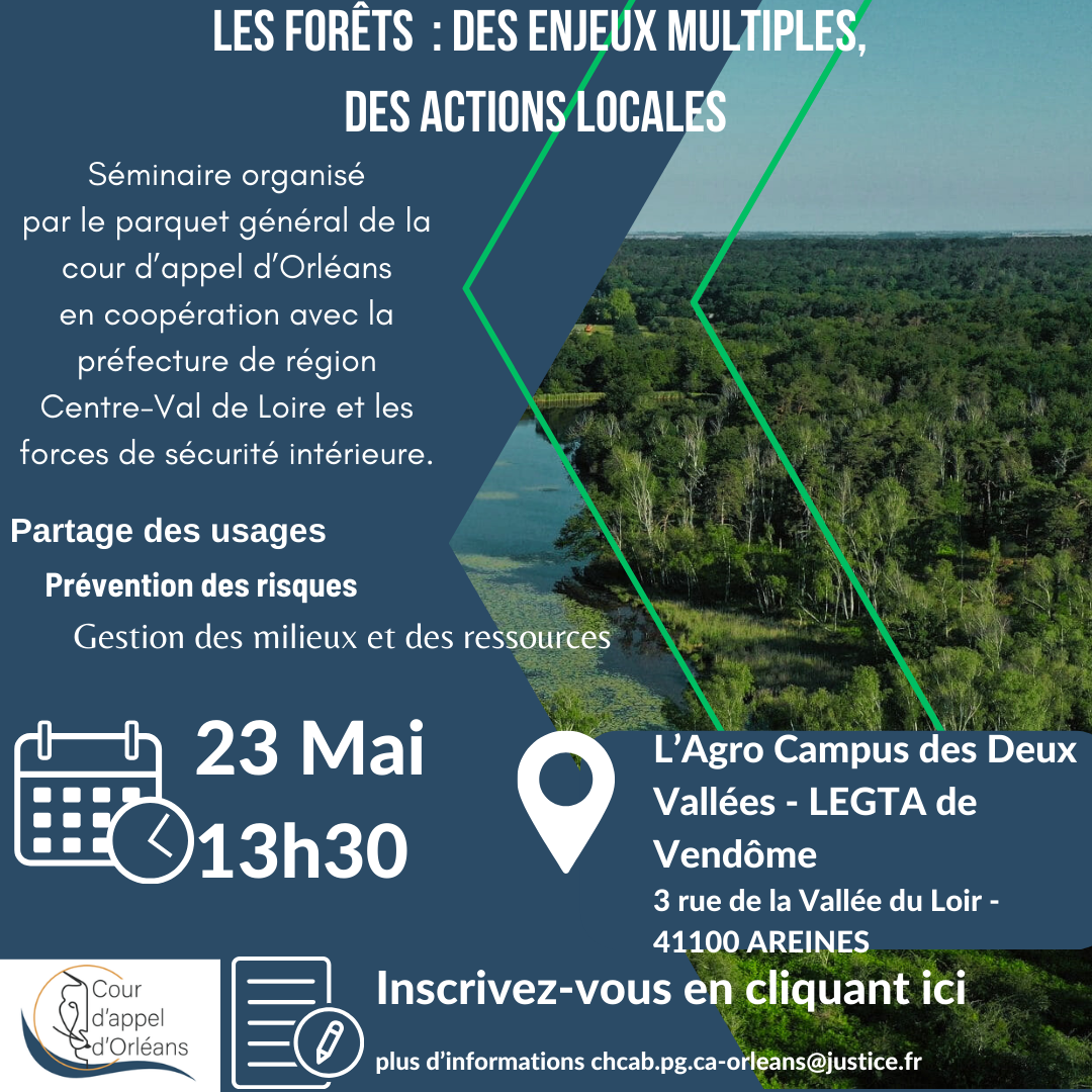 Affiche séminaire forêt