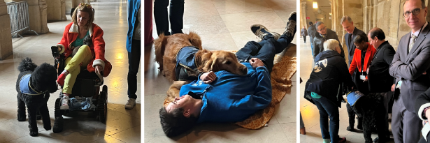 Le handicap à la CA PAris