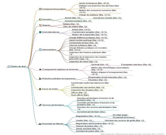 Schéma des formations et métiers