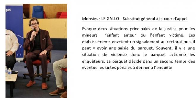 Mr LE GALLO